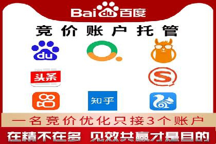 深度解析托管竞价sem：一则行业领先企业的成功故事